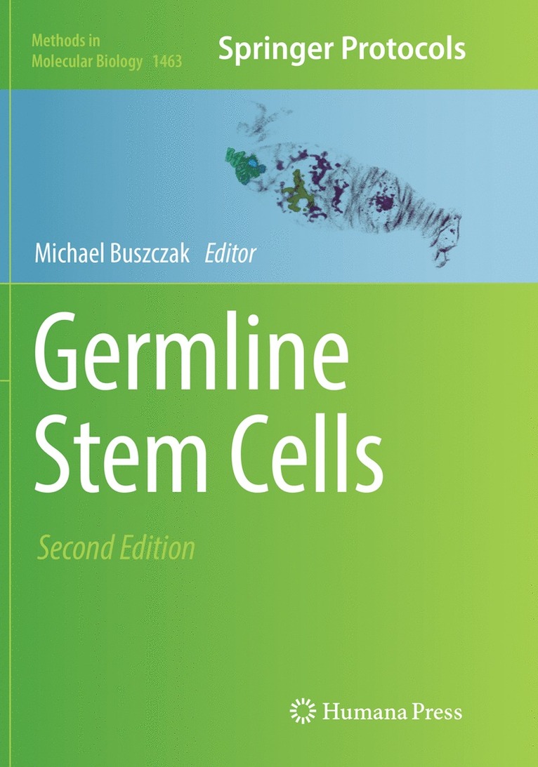 Germline Stem Cells 1