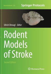 bokomslag Rodent Models of Stroke
