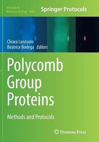 bokomslag Polycomb Group Proteins