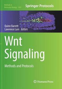 bokomslag Wnt Signaling