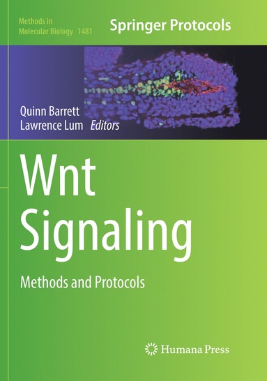 bokomslag Wnt Signaling