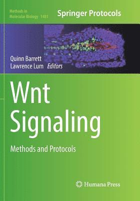 Wnt Signaling 1