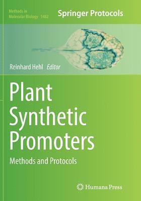 bokomslag Plant Synthetic Promoters