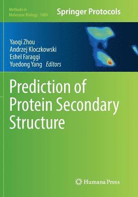 bokomslag Prediction of Protein Secondary Structure