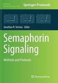 bokomslag Semaphorin Signaling