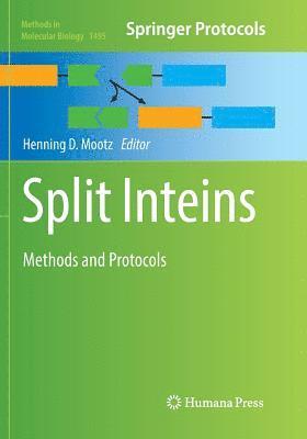 Split Inteins 1