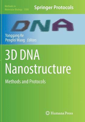 bokomslag 3D DNA Nanostructure