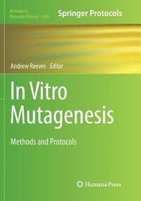 bokomslag In Vitro Mutagenesis