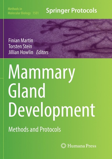 bokomslag Mammary Gland Development