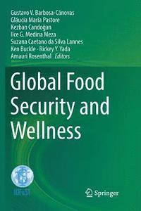 bokomslag Global Food Security and Wellness