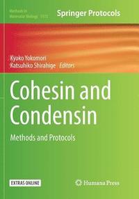 bokomslag Cohesin and Condensin