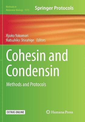 bokomslag Cohesin and Condensin