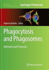 bokomslag Phagocytosis and Phagosomes