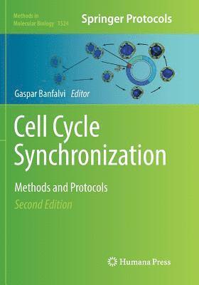 bokomslag Cell Cycle Synchronization