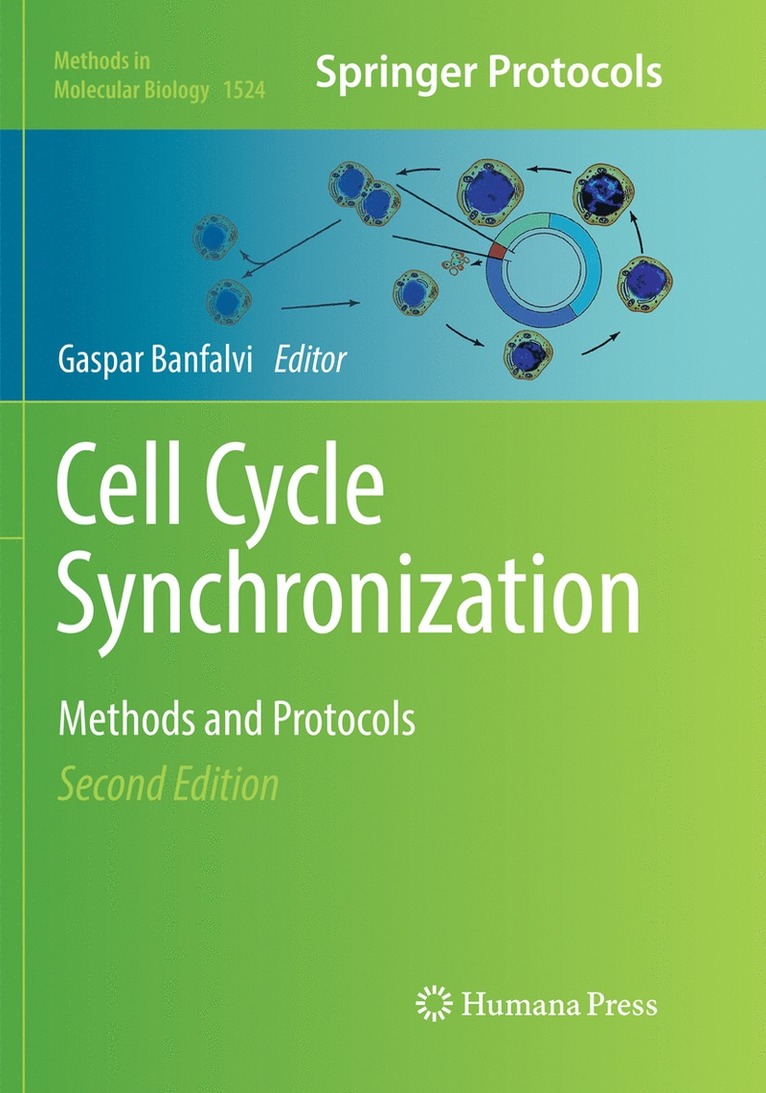 Gaspar Banfalvi - Cell Cycle Synchronization, Häftad
