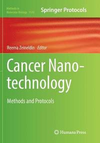 bokomslag Cancer Nanotechnology