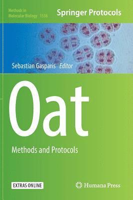 Oat 1