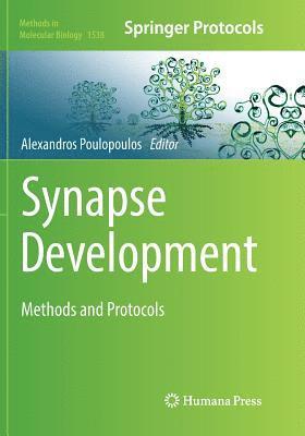 bokomslag Synapse Development