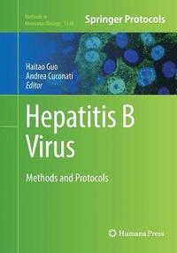 bokomslag Hepatitis B Virus