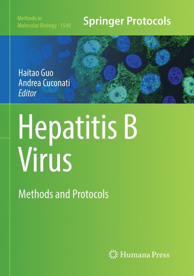 bokomslag Hepatitis B Virus