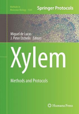 Xylem 1