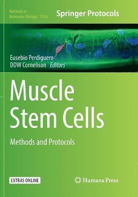 Muscle Stem Cells 1