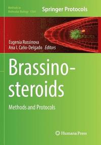 bokomslag Brassinosteroids