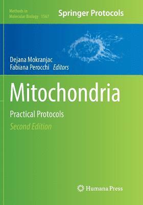 Mitochondria 1