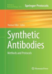 bokomslag Synthetic Antibodies