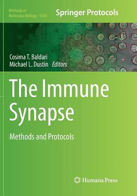 The Immune Synapse 1