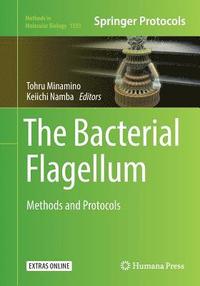 bokomslag The Bacterial Flagellum