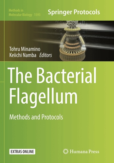 Tohru Minamino, Keiichi Namba - Bacterial Flagellum, Häftad