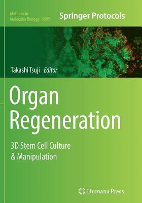 bokomslag Organ Regeneration