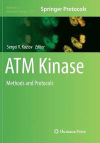 bokomslag ATM Kinase