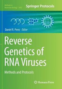bokomslag Reverse Genetics of RNA Viruses