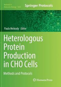 bokomslag Heterologous Protein Production in CHO Cells