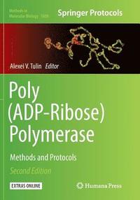 bokomslag Poly(ADP-Ribose) Polymerase