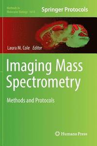 bokomslag Imaging Mass Spectrometry