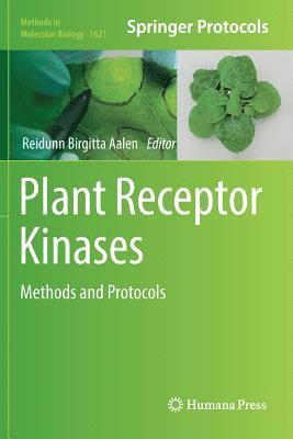 bokomslag Plant Receptor Kinases