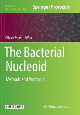 Bacterial Nucleoid 1