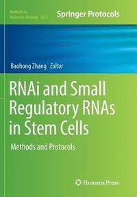 bokomslag RNAi and Small Regulatory RNAs in Stem Cells