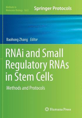 bokomslag RNAi and Small Regulatory RNAs in Stem Cells