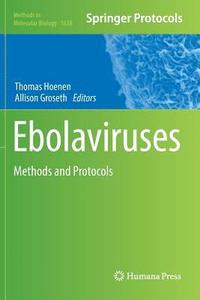 bokomslag Ebolaviruses