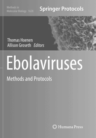 Thomas Hoenen, Allison Groseth - Ebolaviruses, Häftad