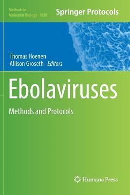 bokomslag Ebolaviruses