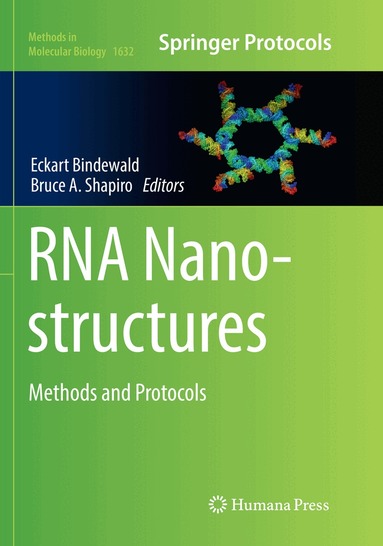 Eckart Bindewald, Bruce A. Shapiro - RNA Nanostructures, Häftad
