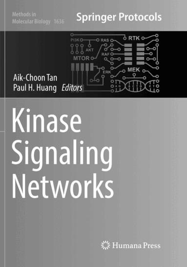 Aik-Choon Tan, Paul H. Huang - Kinase Signaling Networks, Häftad
