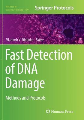 bokomslag Fast Detection of DNA Damage