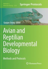 bokomslag Avian and Reptilian Developmental Biology