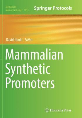 Mammalian Synthetic Promoters 1